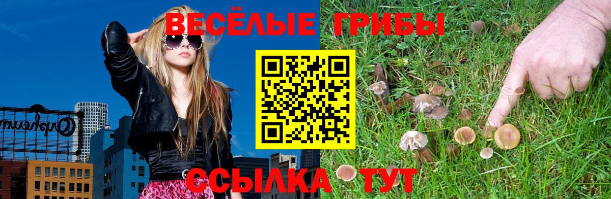 Галлюциногенные грибы прущие грибы  Галлюциногенные грибы ЛСД  Вход с VPN  Знаменск 