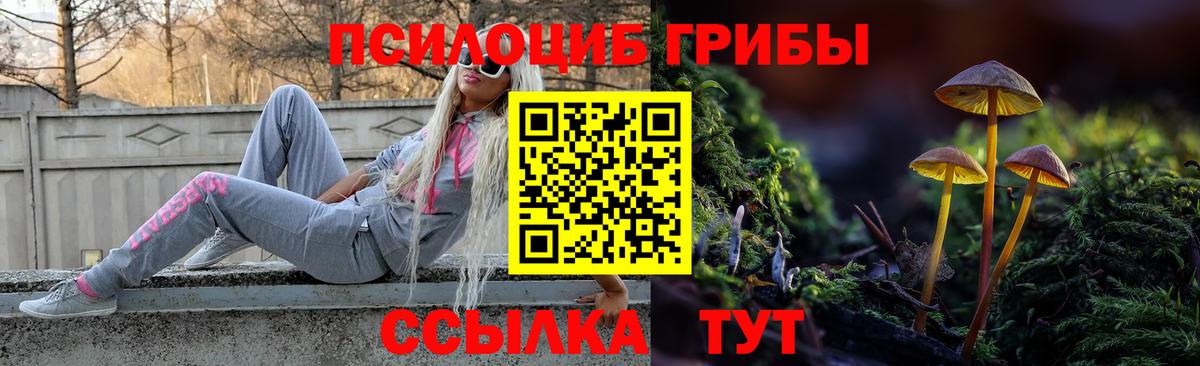 Псилоцибиновые грибы Magic Shrooms Знаменск